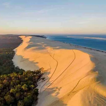 Maison Proche De La Dune Du Pyla 6pers *